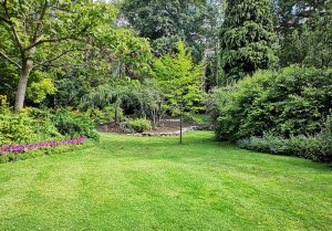 Optimiser l'expérience du jardin à Fontaine-la-Gaillarde